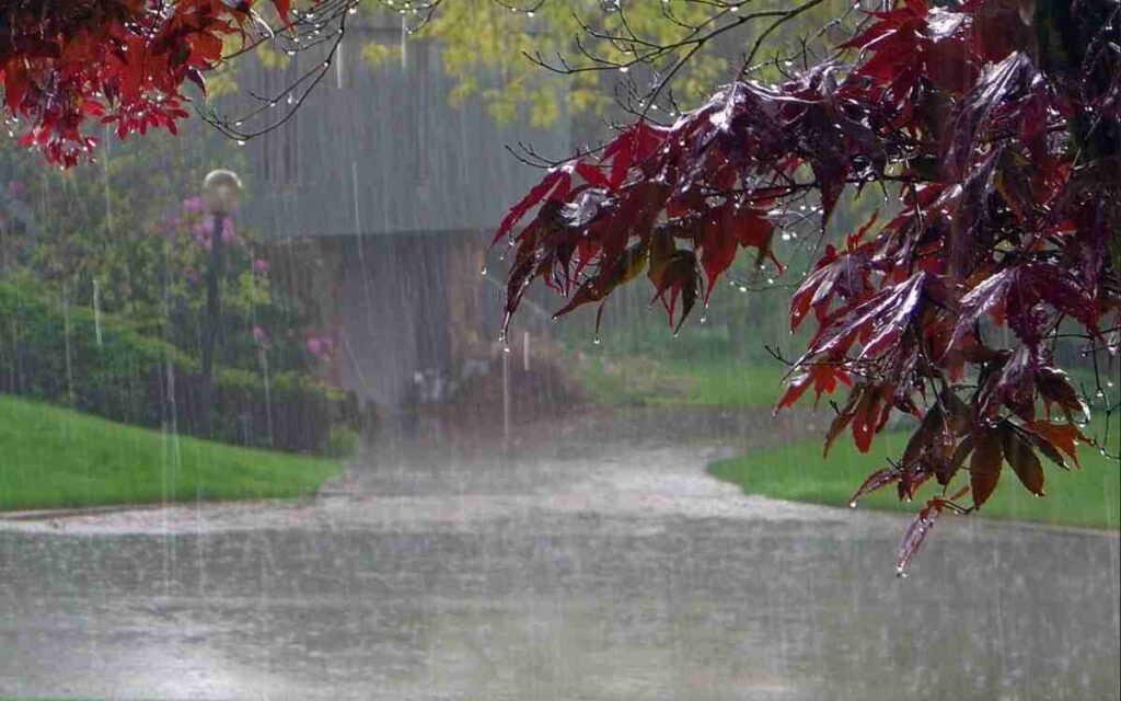 Monsoon Must-Haves: 5 Essentials to Keep Handy This Rainy Season 2 monsoon essentials, rainy season must-haves, monsoon skincare, mosquito repellent, monsoon health tips, rainy day gear, gut health, Neutrogena face wash, Odomos spray, LivLively capsules